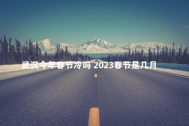 武汉今年春节冷吗 2023春节是几月几号